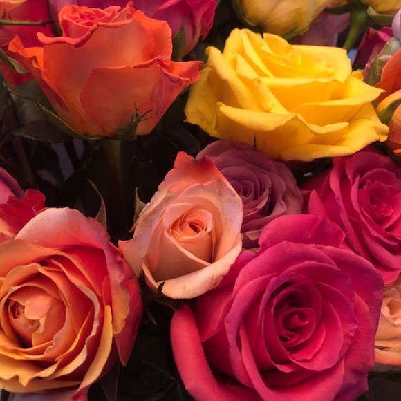 Bookmark Me! - Picture 3 of 8